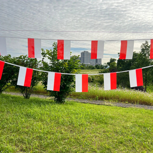 Poland Bunting Flags 14x21cm - 20pcs String Pennant Banner for Parties