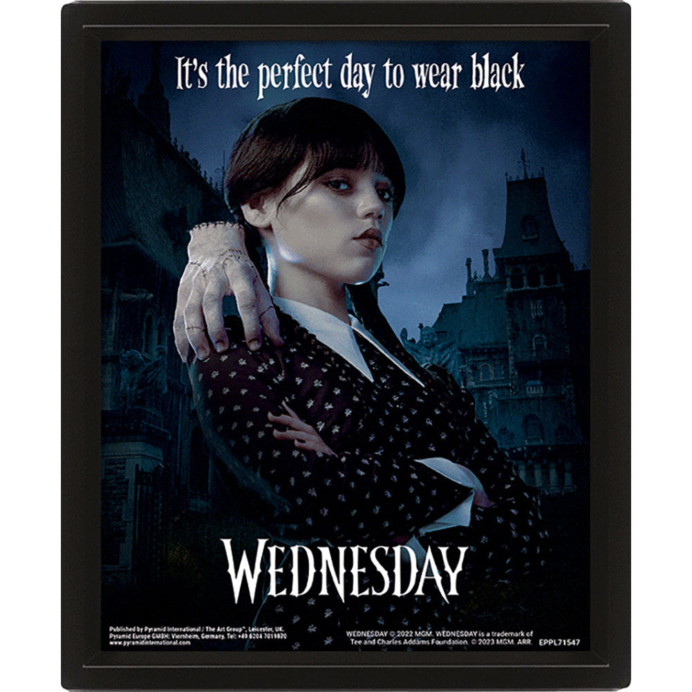 Wednesday Framed 3D Picture