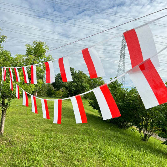 Poland Bunting Flags 14x21cm - 20pcs String Pennant Banner for Parties
