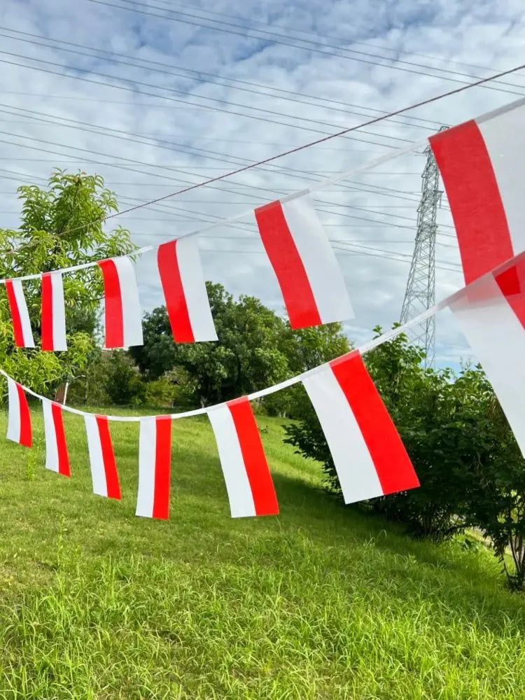 Poland Bunting Flags 14x21cm - 20pcs String Pennant Banner for Parties