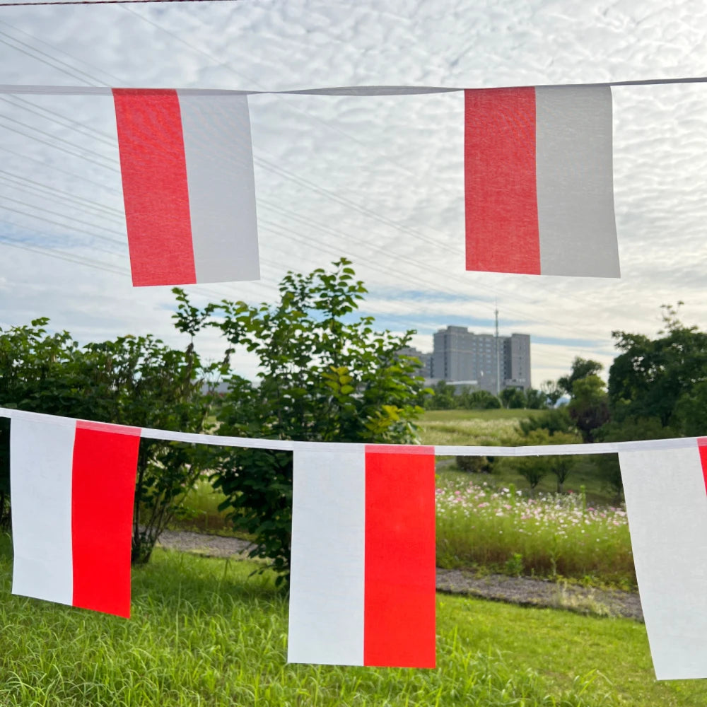 Poland Bunting Flags 14x21cm - 20pcs String Pennant Banner for Parties
