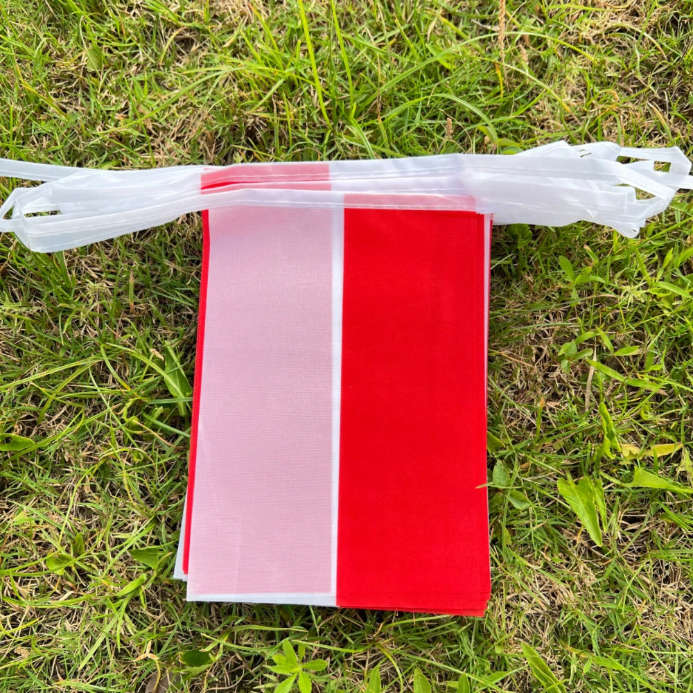 Poland Bunting Flags 14x21cm - 20pcs String Pennant Banner for Parties