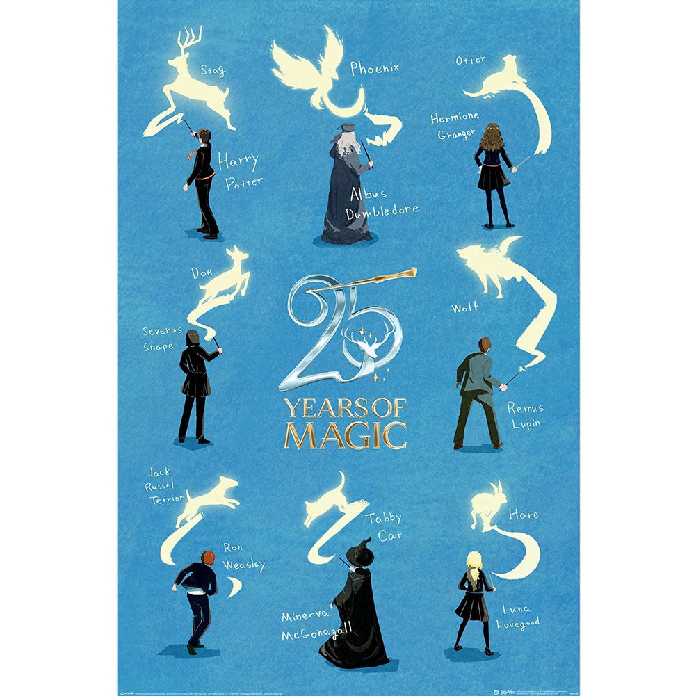 Harry Potter 25 Years Poster 60