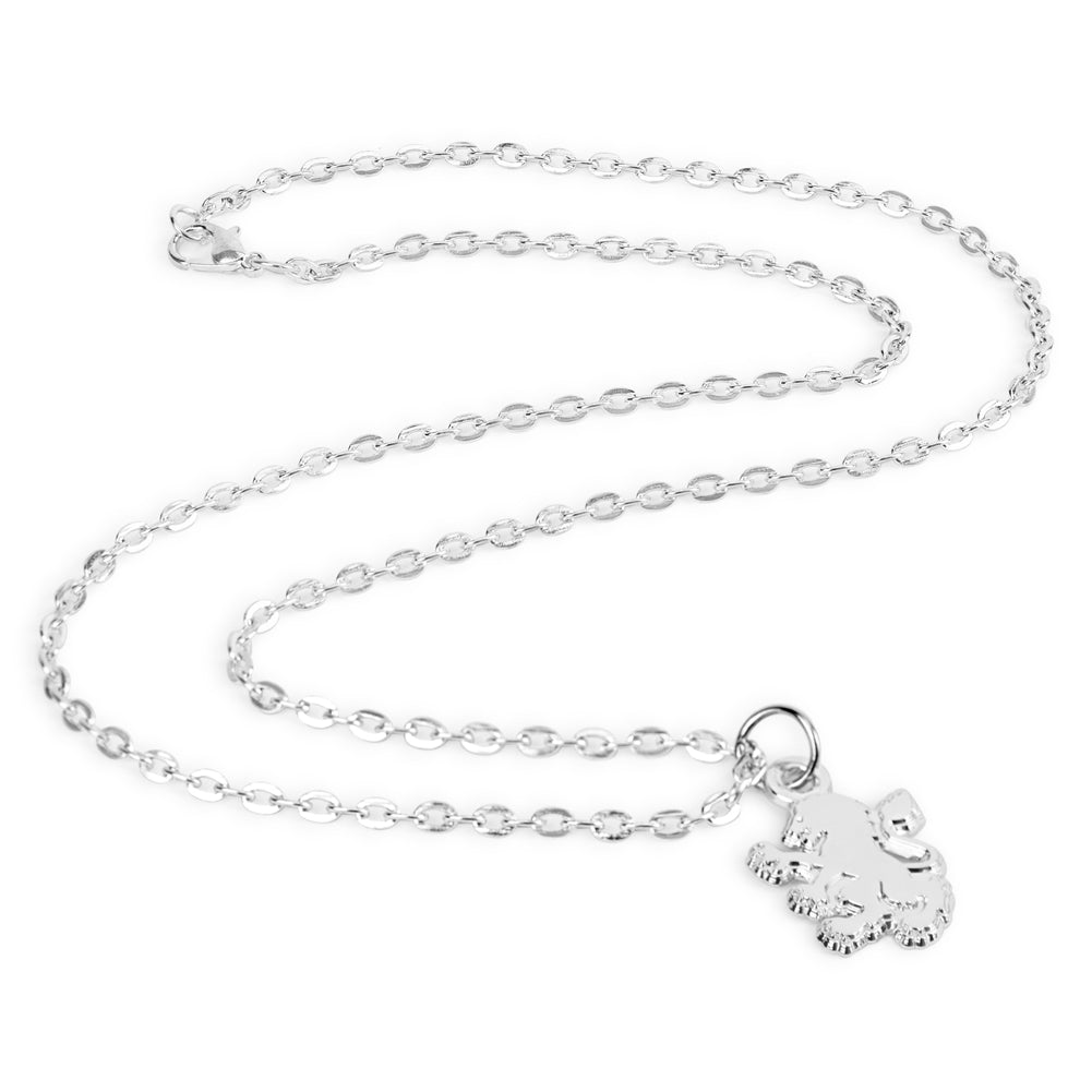 Aston Villa FC Silver Plated Boxed Lion Pendant