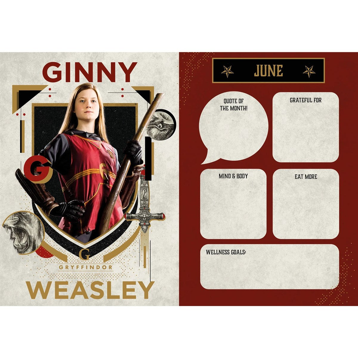Harry Potter Calendar & Diary Gift Box 2027